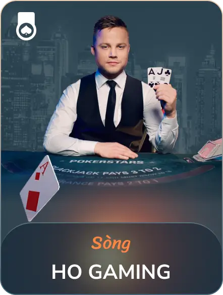 ho gaming